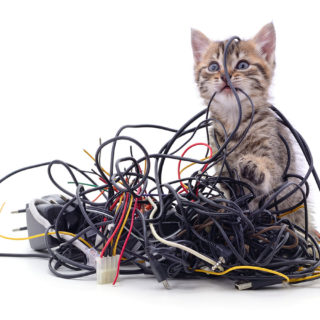 Kitten and a pile of gnawed wires isolated on a white background.